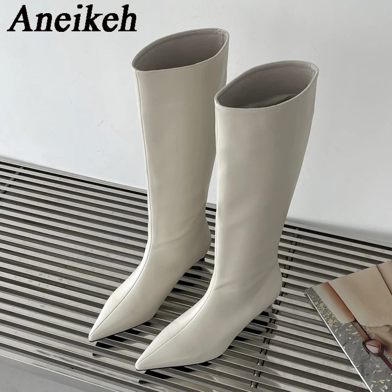 Aneikeh 2026 Fashion Sexy Poin - Women'S Fashion Knee High Boots review and price