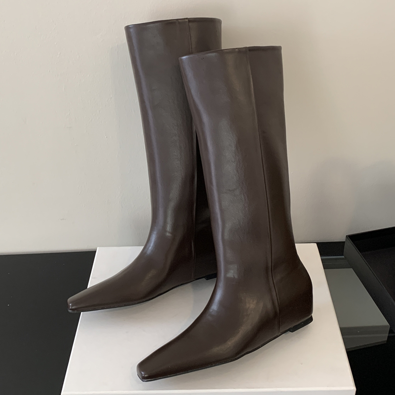 Eilyken Soft Leather Pointed T - Women'S Fashion Knee High Boots review and price